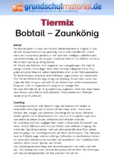 Bobtail Zaunkönig.pdf